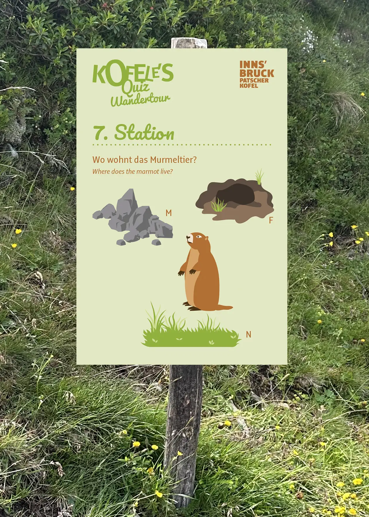 Rätselseite mit einem Eichhörnchen und einem Murmeltier