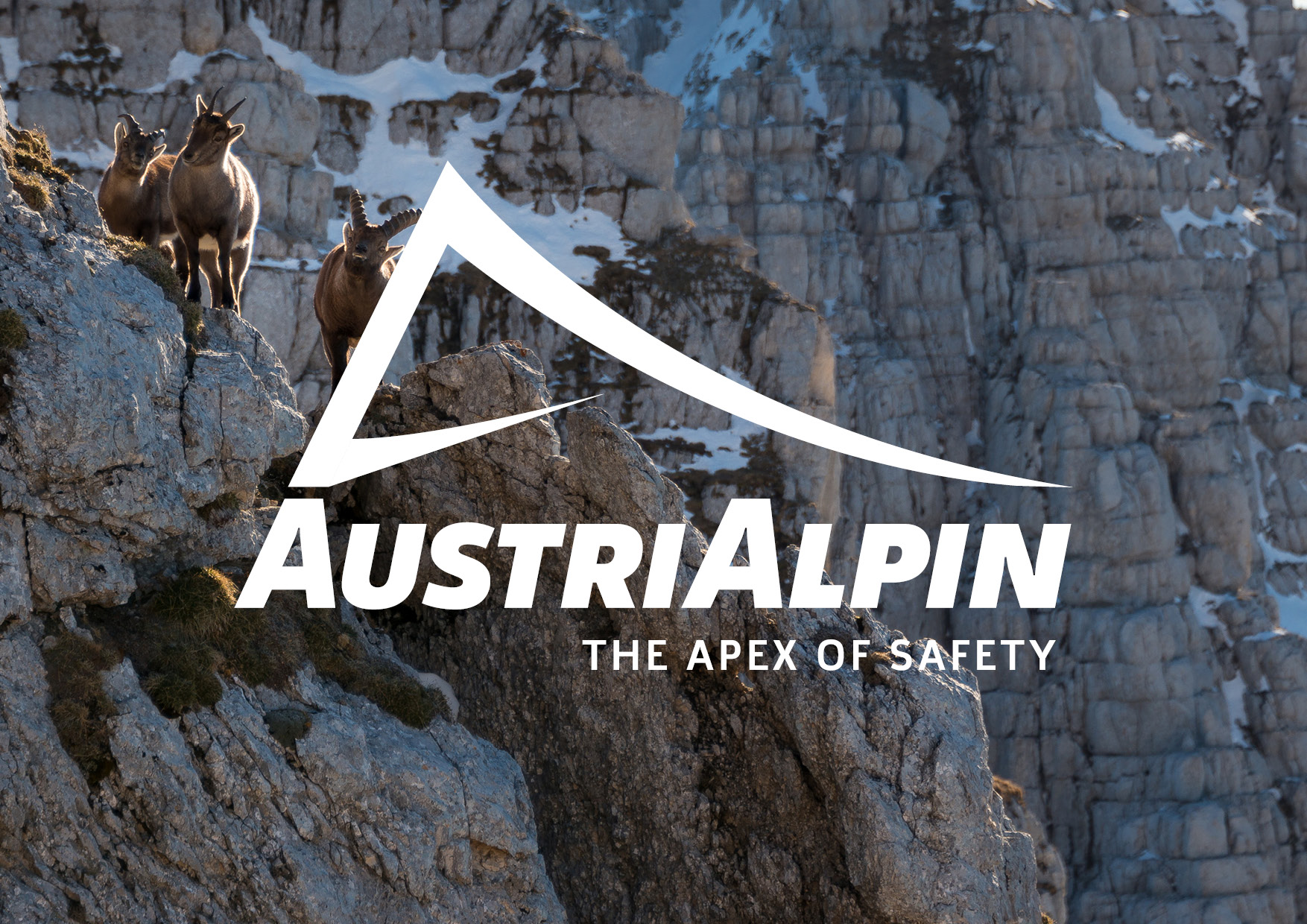 Negatives Logo von AustriAlpin